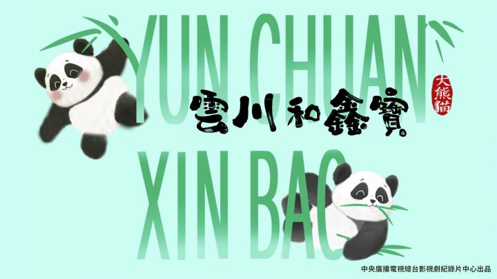 31看世界 - 大熊貓雲川和鑫寶
