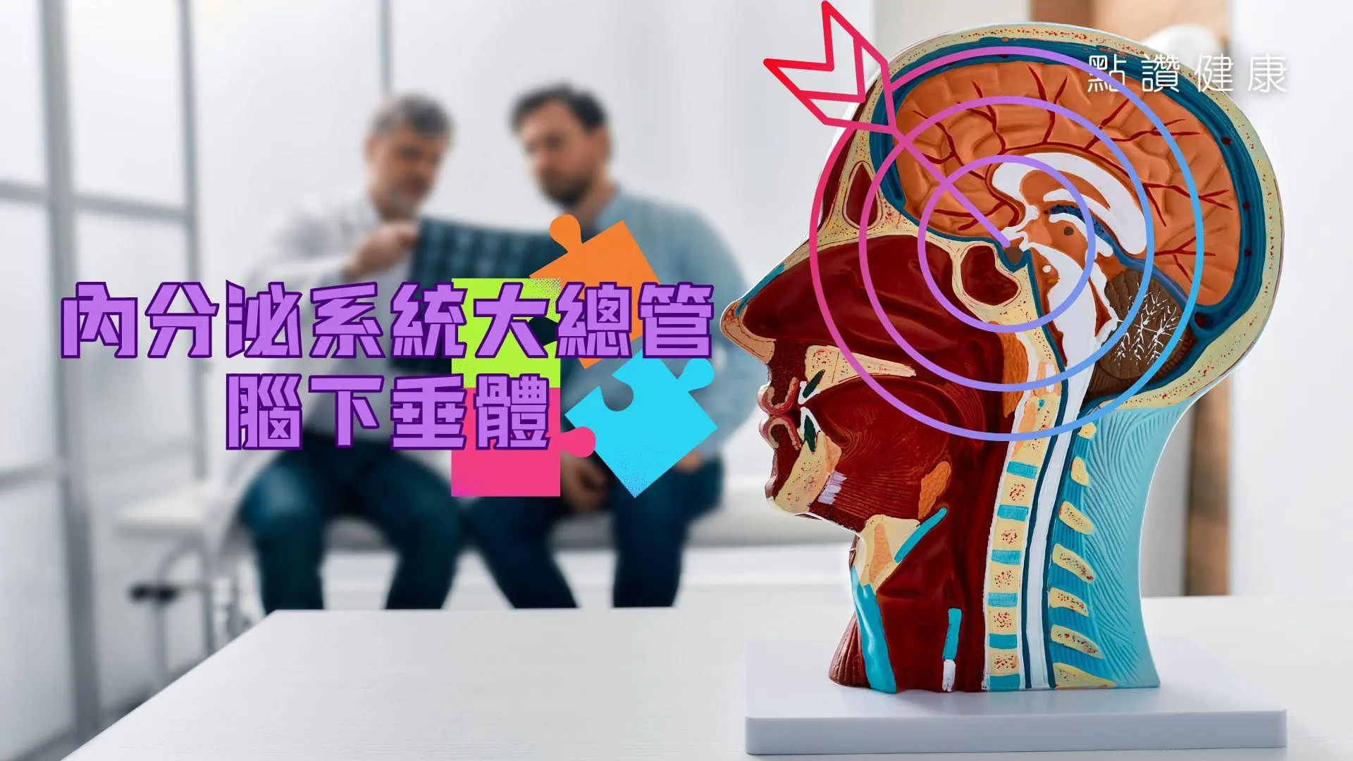 內分泌系統大總管﹕腦下垂體，三種腦下垂體腫瘤有何不同病徵？為何視力也受影響？: 