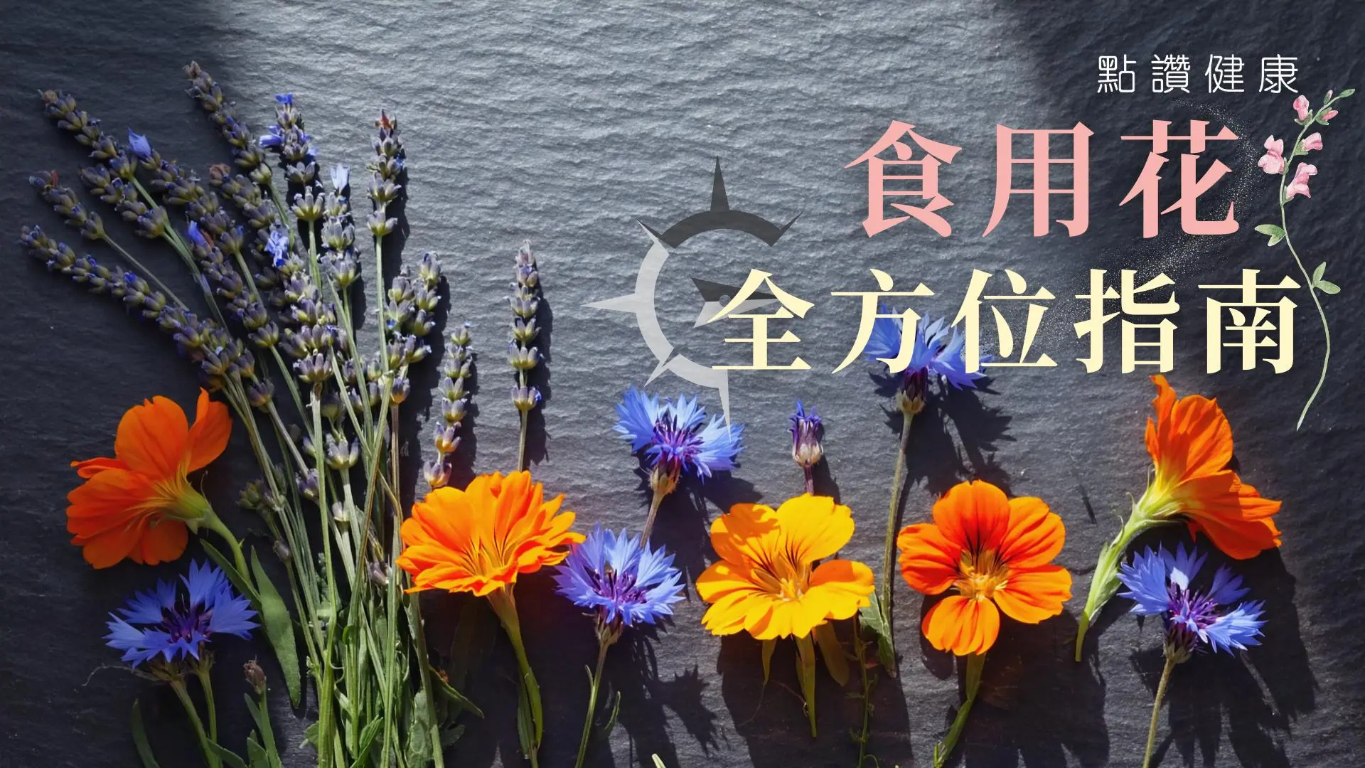 食用花的全方位指南：從營養價值、保存方法到安全守則: 