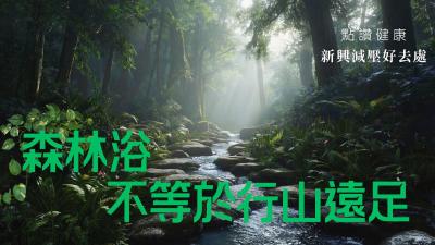 減壓必試！香港人的綠色療癒處方，零成本、高回報，優質療癒森林推薦＋科學實證好處