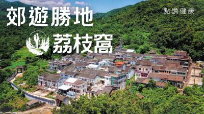 【荔枝窩深度遊】探索香港隱世客家圍村！古樹×農田×咖啡園秘境全攻略