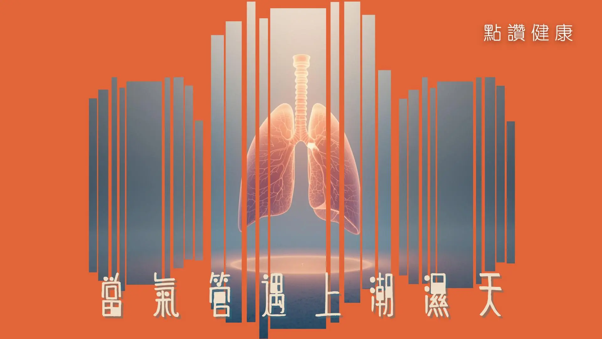 🌧️💨 別讓氣管跟著天氣發霉！潮濕季節自保全指南: 