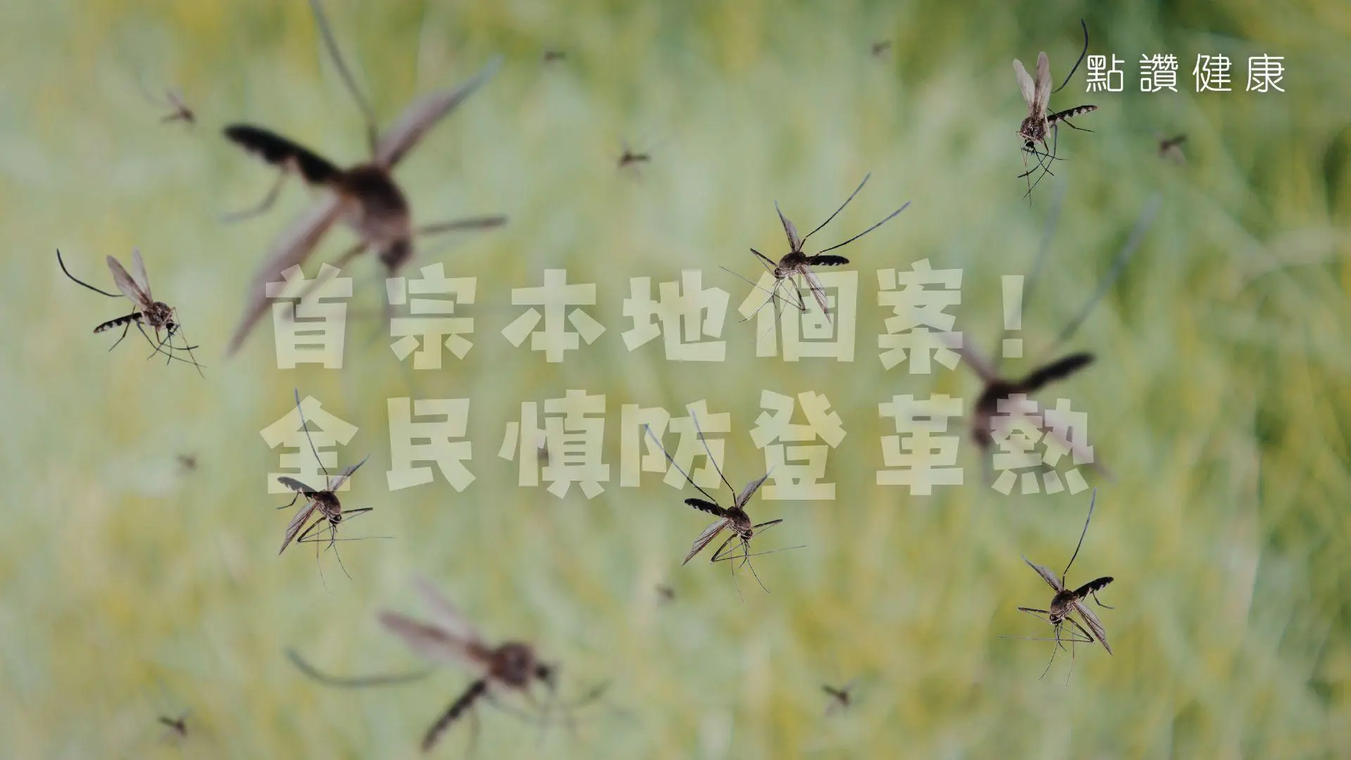 秒懂登革熱症狀、傳播途徑及防蚊措施！(外遊必備)各國登革熱最新資訊連結: 