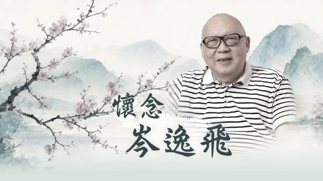怀念岑逸飞