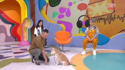 訓犬師