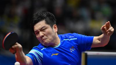 樊振東直落四盤擊敗對手晉級十六強