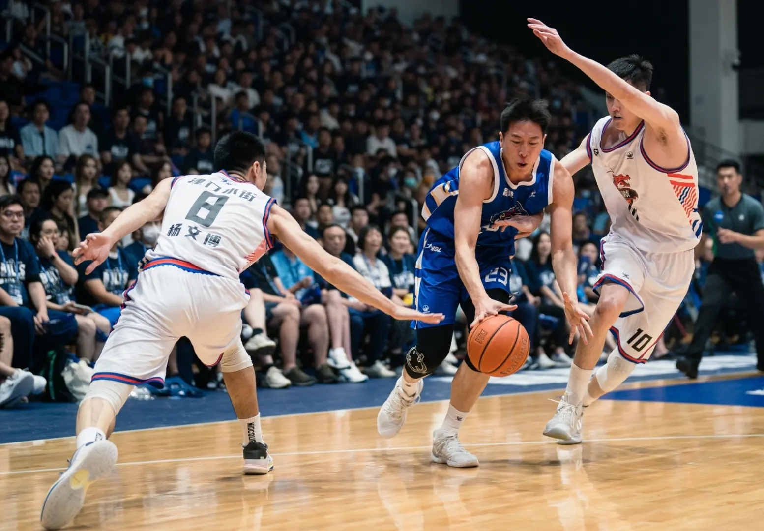 香港金牛隊成就